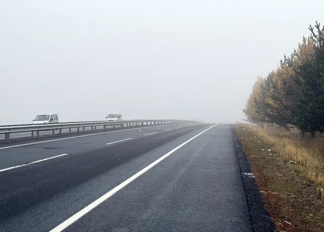Ardahan'da Yoğun Sis Sürücüleri Zorladı