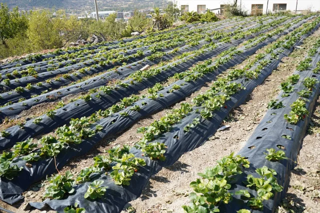 Türk Köyünde 30 Yıldır Süren İyilik Hareketi