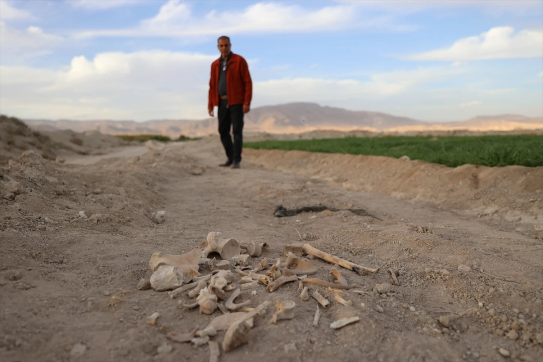 Şam Duma’da Toplu Mezar: 20 Kişiye Ait Ceset Kalıntıları Bulundu