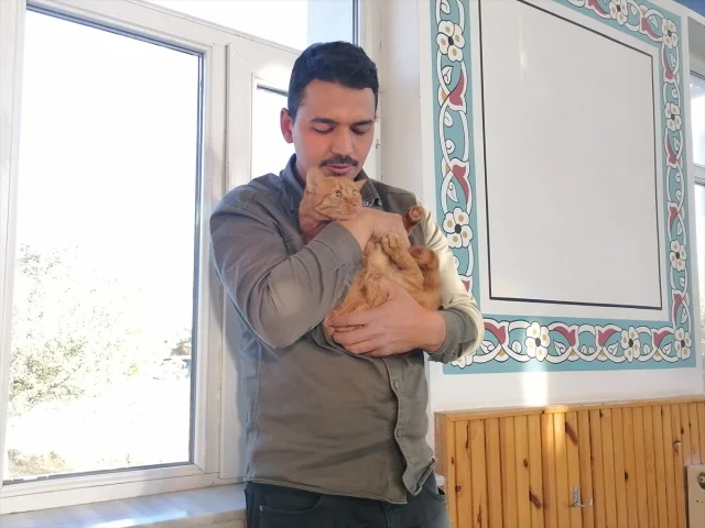 İmamın Kedilere Şefkati Hayran Bırakıyor: Bebek Gibi Yıkıyor