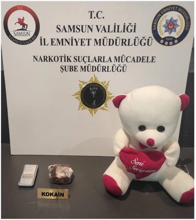 Samsun'da Oyuncak Ayının İçinde Şok Edici Keşif