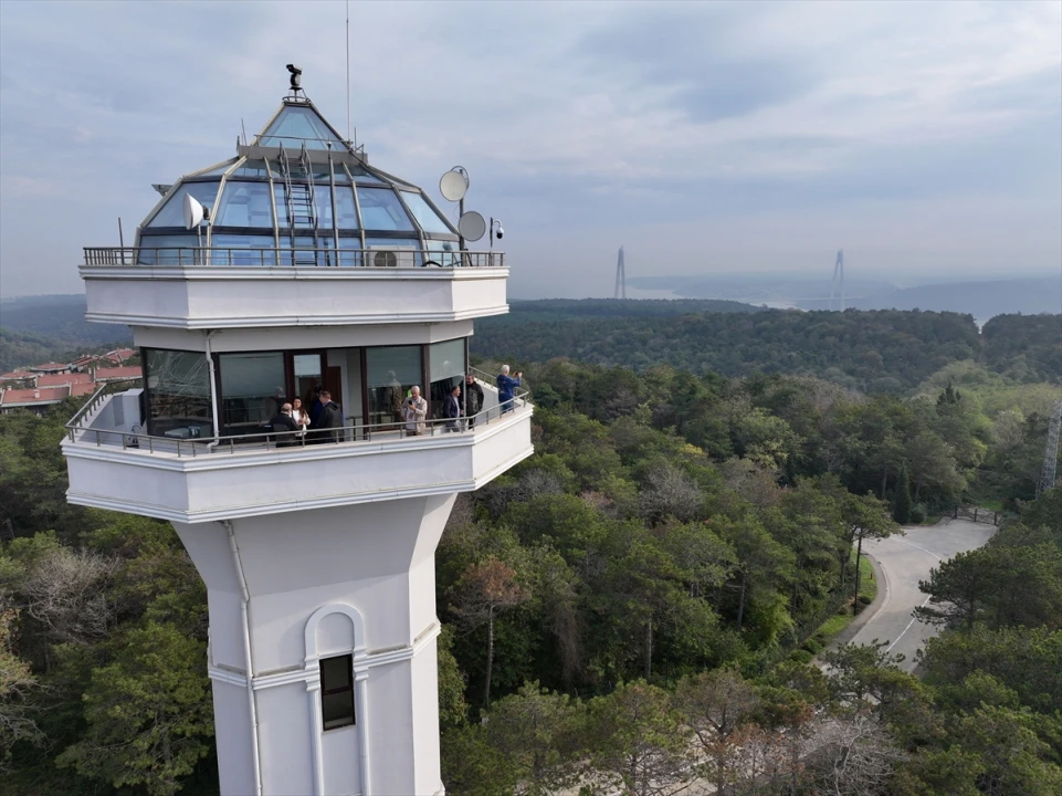 İstanbul'da Orman İnovasyon Haftası Damga Vurdu