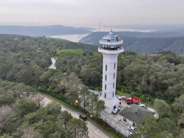 İstanbul'da Orman İnovasyon Haftası Damga Vurdu