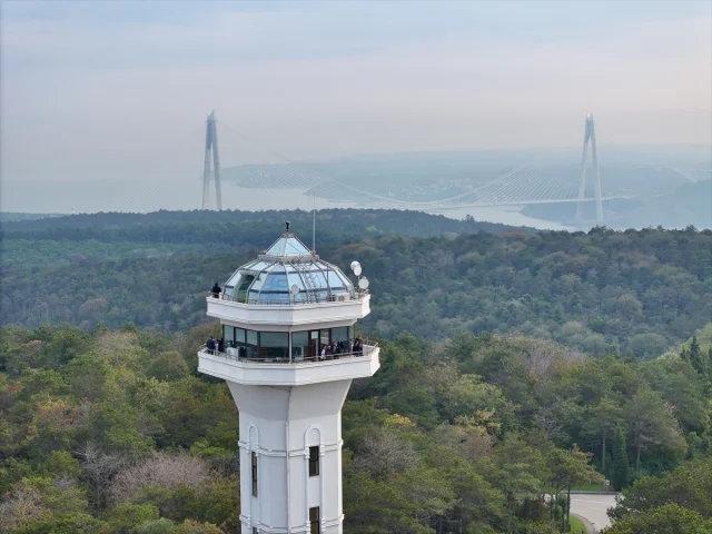 İstanbul'da Orman İnovasyon Haftası Damga Vurdu