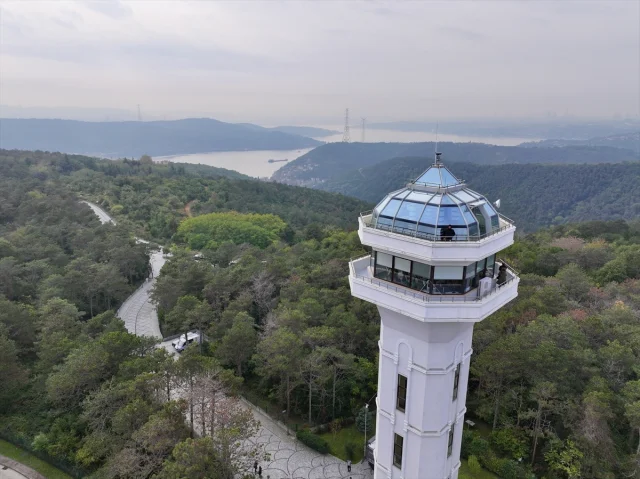 İstanbul'da Orman İnovasyon Haftası Damga Vurdu