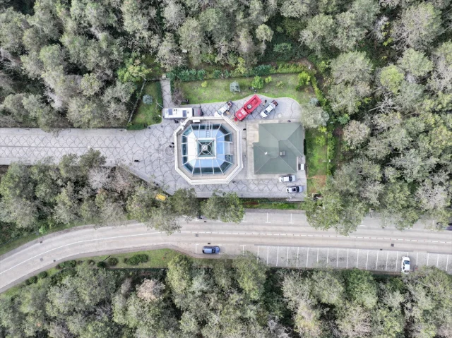 İstanbul'da Orman İnovasyon Haftası Damga Vurdu