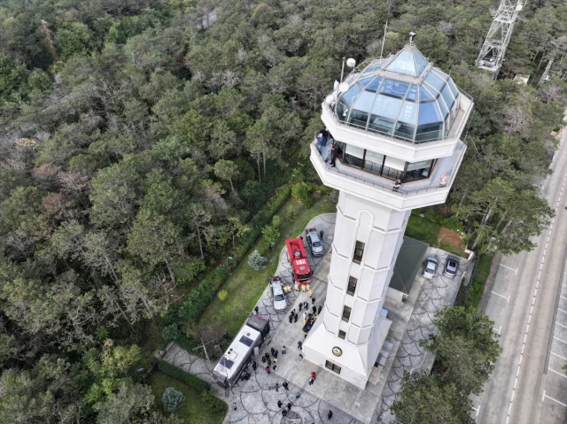 İstanbul'da Orman İnovasyon Haftası Damga Vurdu