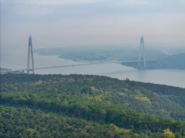 İstanbul'da Orman İnovasyon Haftası Damga Vurdu