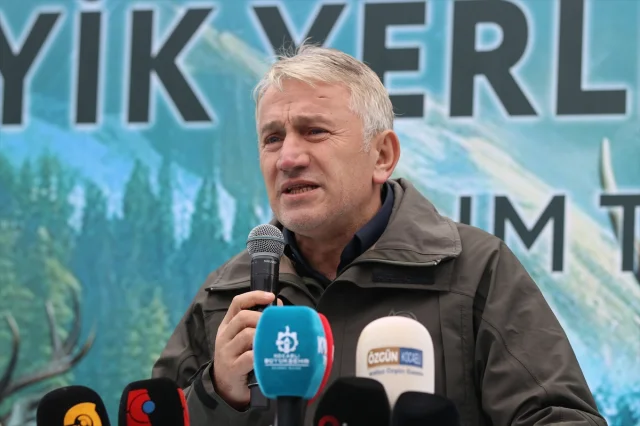Samanlı Dağları'na Yerleştirilen Kızıl Geyiklerle Ekosistem Canlanıyor