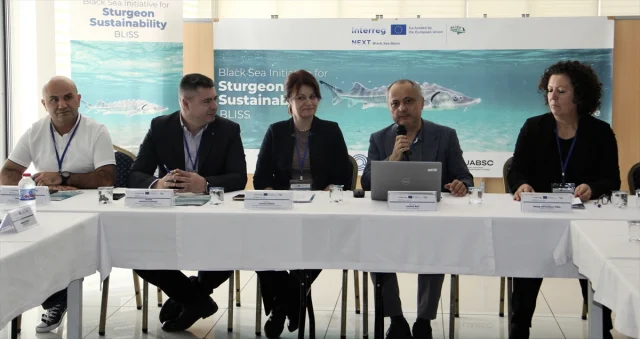 Karadeniz'in Biyolojik Hazinesi Mersin Balığı İçin Uluslarar...