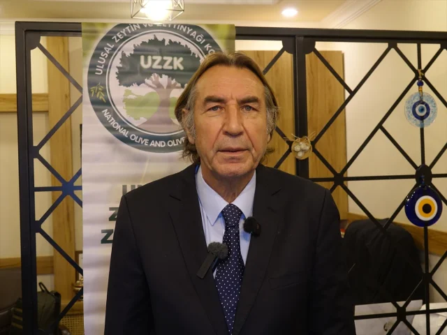 Türkiye'nin Zeytin Üretiminde Büyük Beklenti
