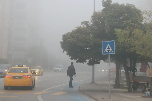 Edirne ve Tekirdağ'da Sisin Büyülü Anları