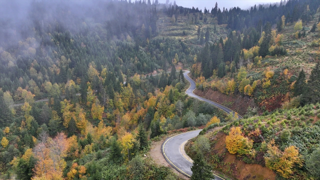 Doğanın En Güzel Kostümü: Trabzon'un Yaylalarındaki Sonbahar Manzarası Büyülüyor