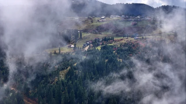 Doğanın En Güzel Kostümü: Trabzon'un Yaylalarındaki Sonbahar Manzarası Büyülüyor