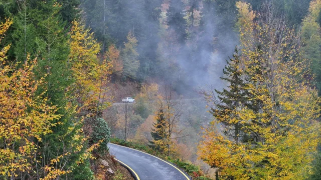 Doğanın En Güzel Kostümü: Trabzon'un Yaylalarındaki Sonbahar Manzarası Büyülüyor