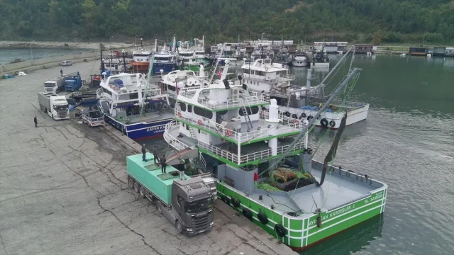 Sinop'ta Balıkçılar Hamsi Bereketiyle Dönüş Yaptı