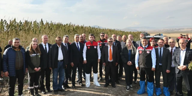 Amasya'da Kenevir Hasadı Büyük İlgiyle Başladı