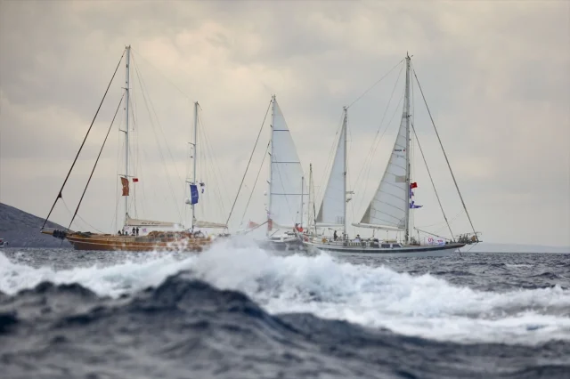 Bodrum'un Yelken Rüzgarı: The Bodrum Cup Nefes Kesti