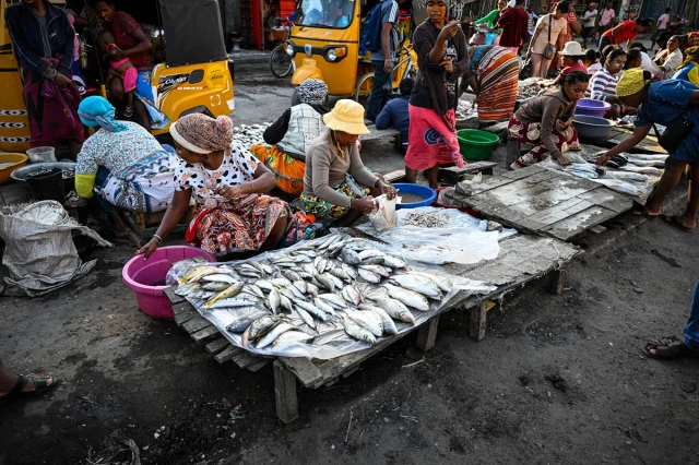 Madagaskar'ın Balıkçı Başkenti Toliara'nın Bilinmeyen Yüzü