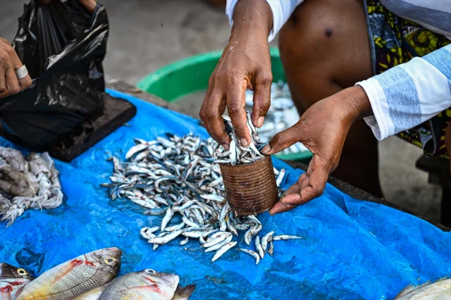 Madagaskar'ın Balıkçı Başkenti Toliara'nın Bilinmeyen Yüzü