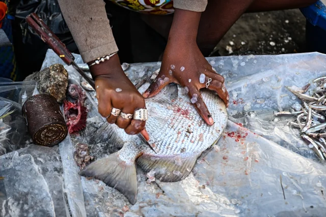 Madagaskar'ın Balıkçı Başkenti Toliara'nın Bilinmeyen Yüzü