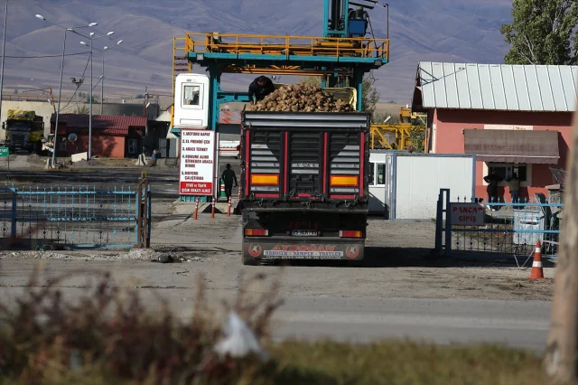 Erzurum'da şeker pancarına olan ilgi neden artıyor