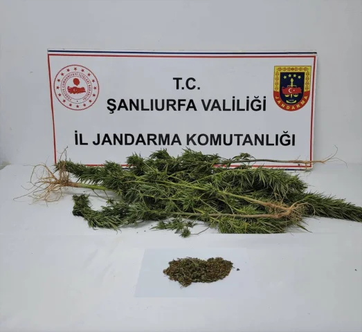 Şanlıurfa'da Büyük Uyuşturucu Operasyonu: 4 Kişi Gözaltında