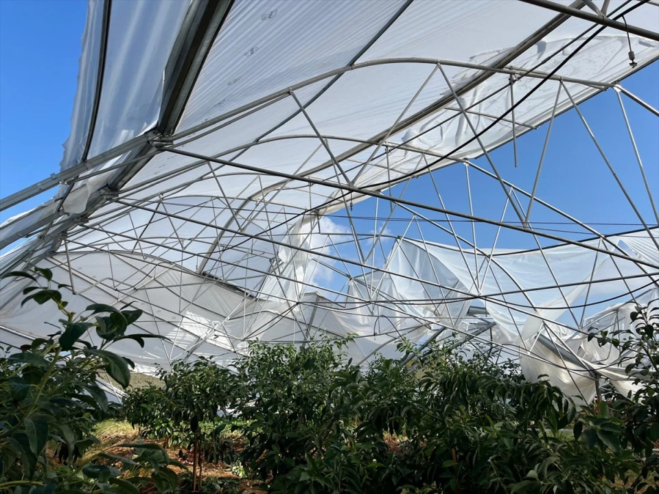 Antalya'da Yaşanan Fırtınanın Ardından Seralardaki Zararlara Karşı Hızlı Tedbir