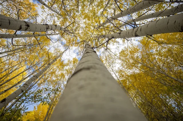Tunceli'nin gizemli zirvelerinde sonbahar büyüsü
