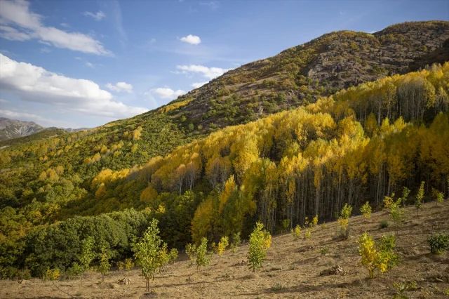 Tunceli'nin gizemli zirvelerinde sonbahar büyüsü