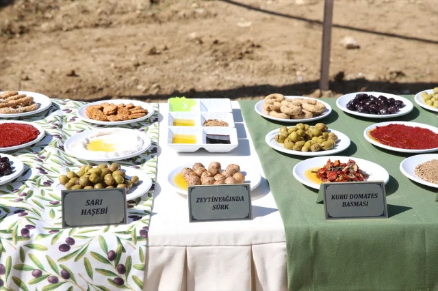 Hatay Zeytin ve Zeytinyağı Festivali Coşkuyla Başladı