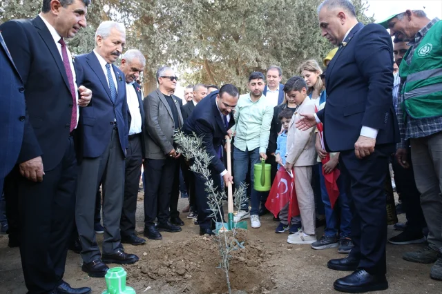 Hatay Zeytin ve Zeytinyağı Festivali Coşkuyla Başladı