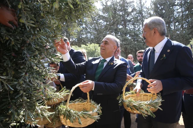 Hatay Zeytin ve Zeytinyağı Festivali Coşkuyla Başladı