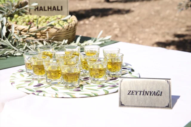 Hatay Zeytin ve Zeytinyağı Festivali Coşkuyla Başladı