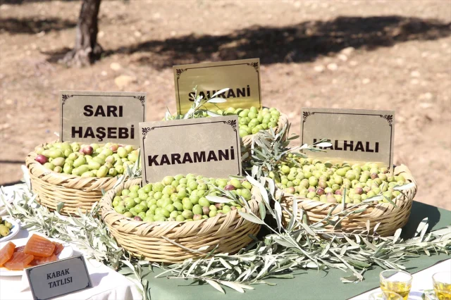 Hatay Zeytin ve Zeytinyağı Festivali Coşkuyla Başladı
