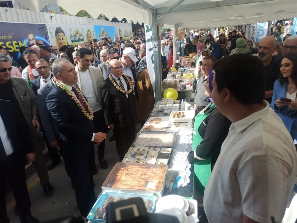 Osmaniye'de Yer Fıstığı Şöleni Başladı: Lezzet ve Eğlence Dolu Anlar