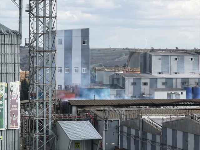 Edirne'de Fabrika Yangını Paniğe Neden Oldu