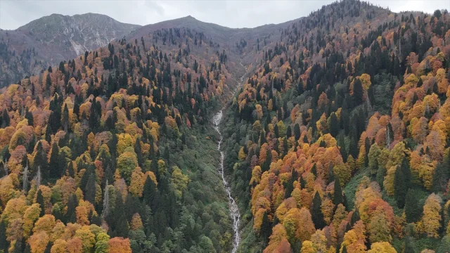 Ayder Yaylası'nda Sonbaharın Muhteşem Renk Cümbüşü