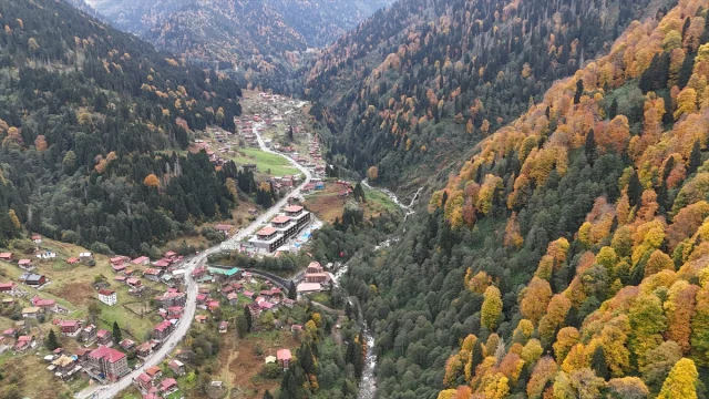 Ayder Yaylası'nda Sonbaharın Muhteşem Renk Cümbüşü