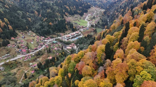 Ayder Yaylası'nda Sonbaharın Muhteşem Renk Cümbüşü