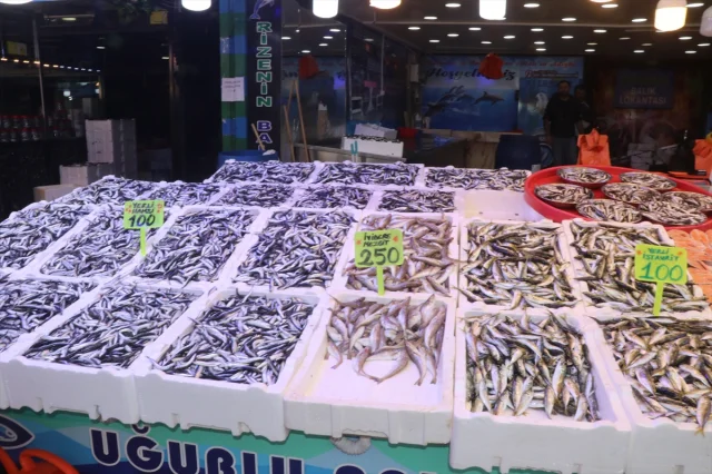 Rize'de Hamsi Rüzgarı: Tezgahlarda Bolluk ve Uygun Fiyatlar
