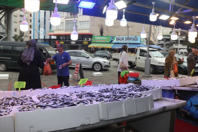 Rize'de Hamsi Rüzgarı: Tezgahlarda Bolluk ve Uygun Fiyatlar