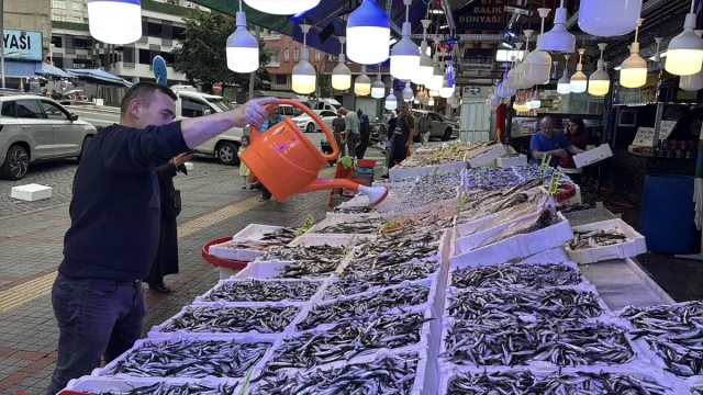 Rize'de Hamsi Rüzgarı: Tezgahlarda Bolluk ve Uygun Fiyatlar