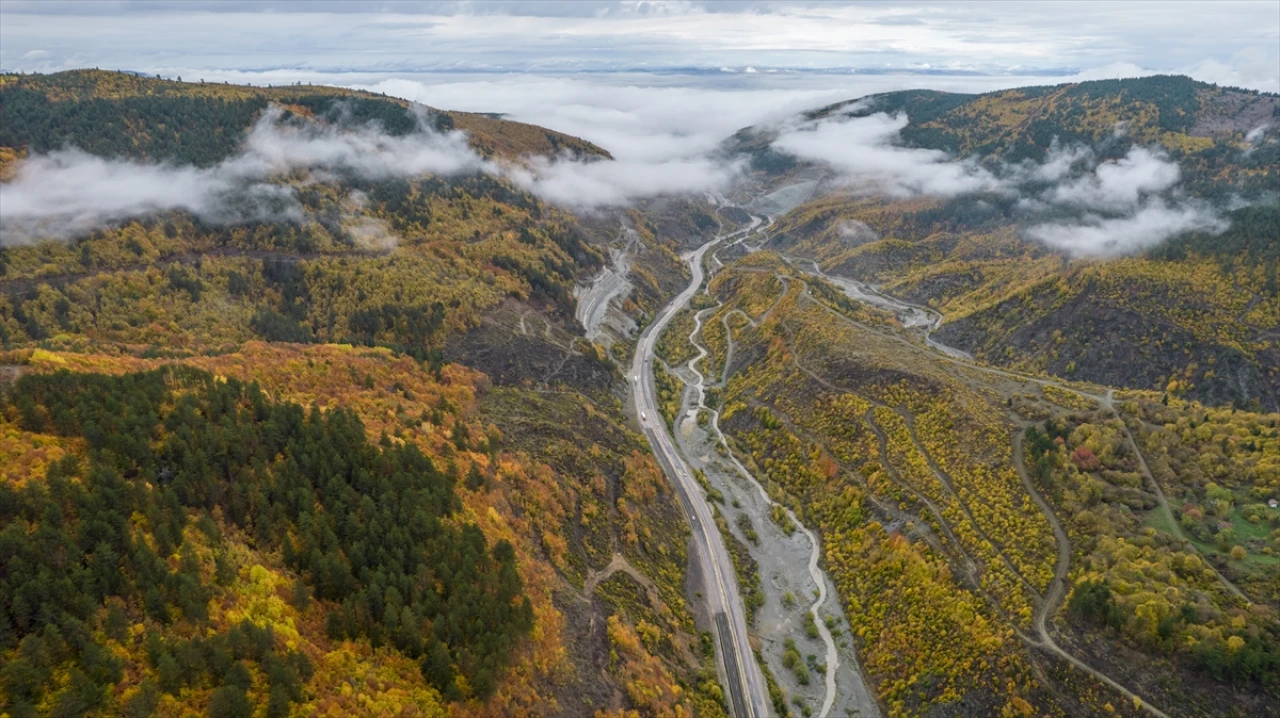 Ilgaz Dağı'nda Gizemli Sis Ortamı: Doğa Tutkunları İçin Büyüleyici Anlar