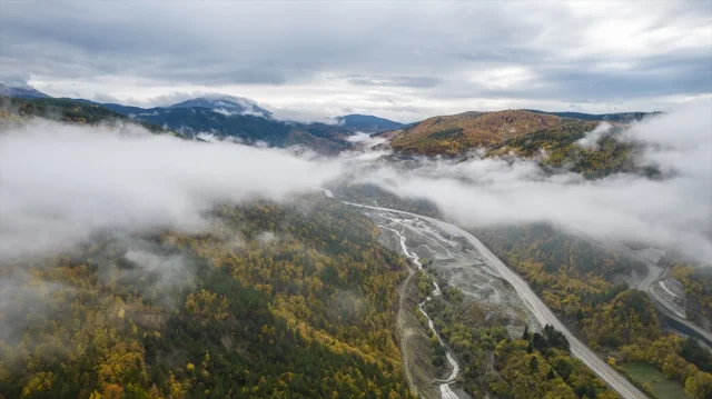 Ilgaz Dağı'nda Gizemli Sis Ortamı: Doğa Tutkunları İçin Büyüleyici Anlar