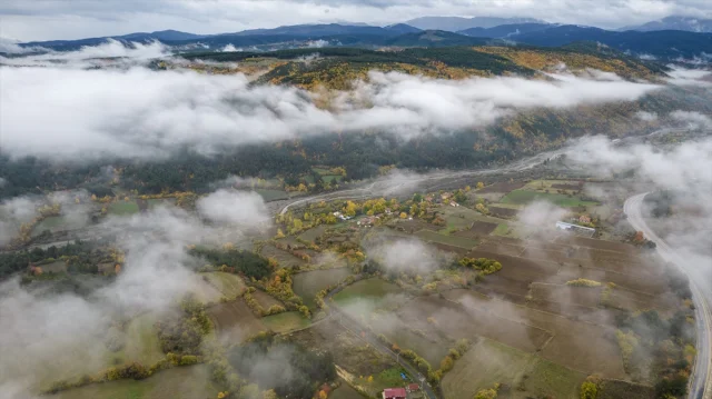 Ilgaz Dağı'nda Gizemli Sis Ortamı: Doğa Tutkunları İçin Büyüleyici Anlar
