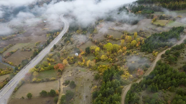 Ilgaz Dağı'nda Gizemli Sis Ortamı: Doğa Tutkunları İçin Büyüleyici Anlar