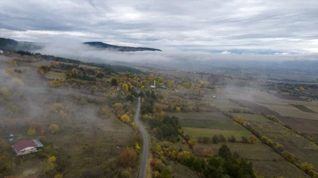 Ilgaz Dağı'nda Gizemli Sis Ortamı: Doğa Tutkunları İçin Büyüleyici Anlar