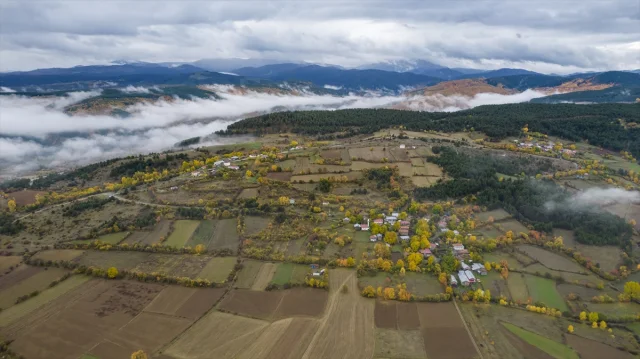 Ilgaz Dağı'nda Gizemli Sis Ortamı: Doğa Tutkunları İçin Büyüleyici Anlar