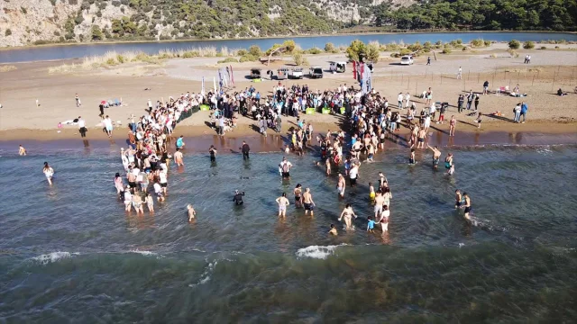 Muğla'da Deniz Kaplumbağaları Cumhuriyet Coşkusuyla Denizle Buluştu